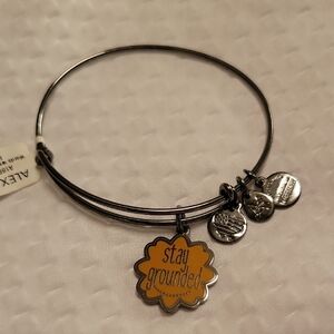 Alex and Ani Gunmetal Silver Bracelet with Stay Grounded Charm